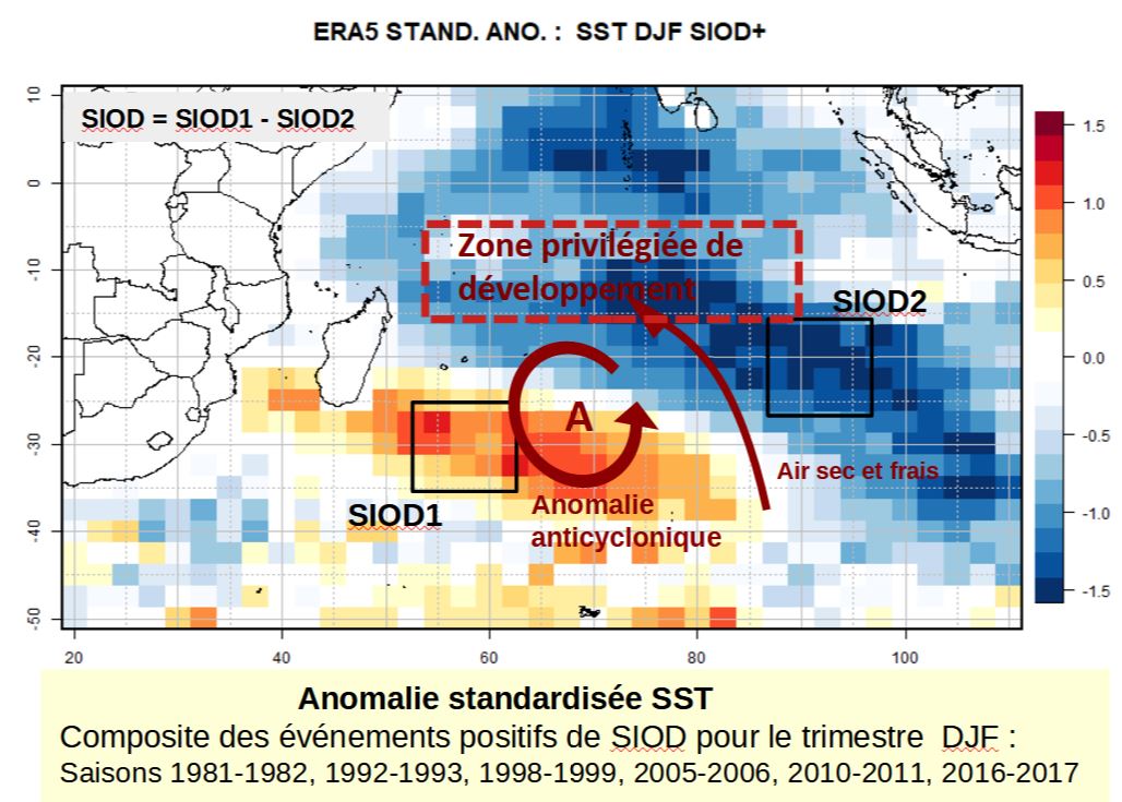 Représentation schématique d’un épisode DSOI positif à partir d’une analyse composite d’anomalie de température de surface de la mer (SST)