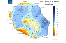 Cumul de précipitations Réunion - février 2026