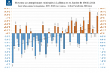 Températures minimales à la Réunion - Janvier 1968 à 2024