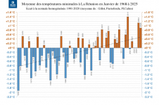 Températures minimales à La Réunion - janvier 1968 à 2025
