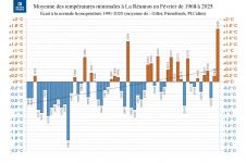Températures minimales à La Réunion - février 2025