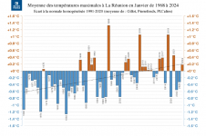 Températures maximales à la Réunion - Janvier 1968 à 2024