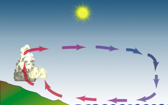 Brise de mer à la Réunion