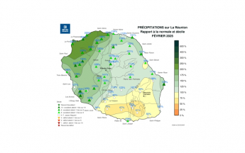 Bulletin climatique mensuel de La Réunion - février 2025