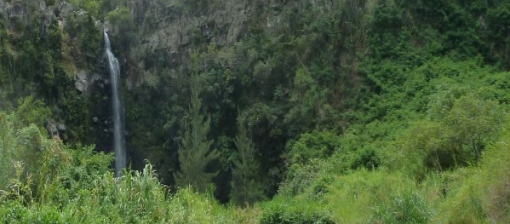 Bulletin climatique annuel de la Réunion - 2021