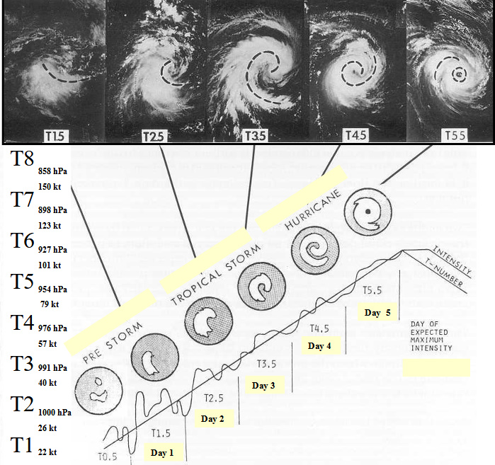 Modèle conceptuel de développement d’un cyclone élaboré par V. Dvorak et échelle d’intensité associée