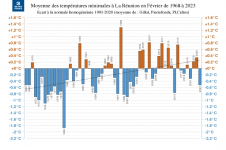Températures minimales à La Réunion - Février 1968 à 2023